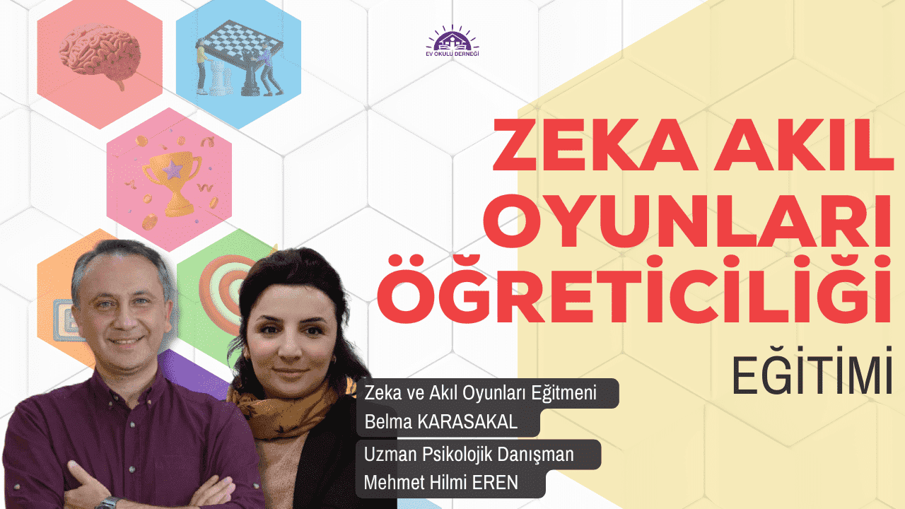 Zeka Akıl Oyunları Öğreticiliği Eğitimi